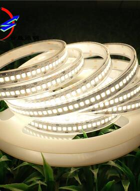 定制单排240灯2835LED防水灯带DC24V高亮防水2835LED灯带套管