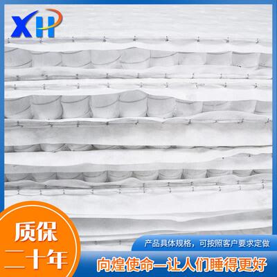 厂家加工袋EOC8公分独立装簧弹簧立弹独包床网弹簧床垫弹簧网