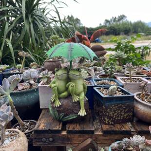 撑伞情侣青蛙太阳能庭院装饰灯庭院户外摆饰花园阳台摆件