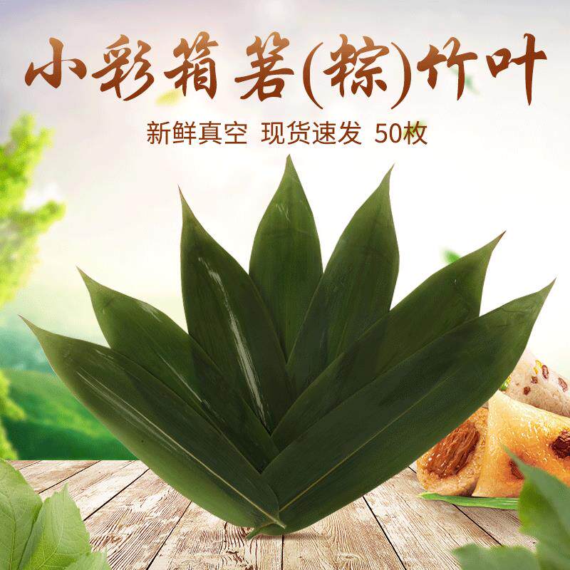 小彩箱箬(粽)竹叶新鲜真空包装粽子叶50枚摆盘装饰粽叶