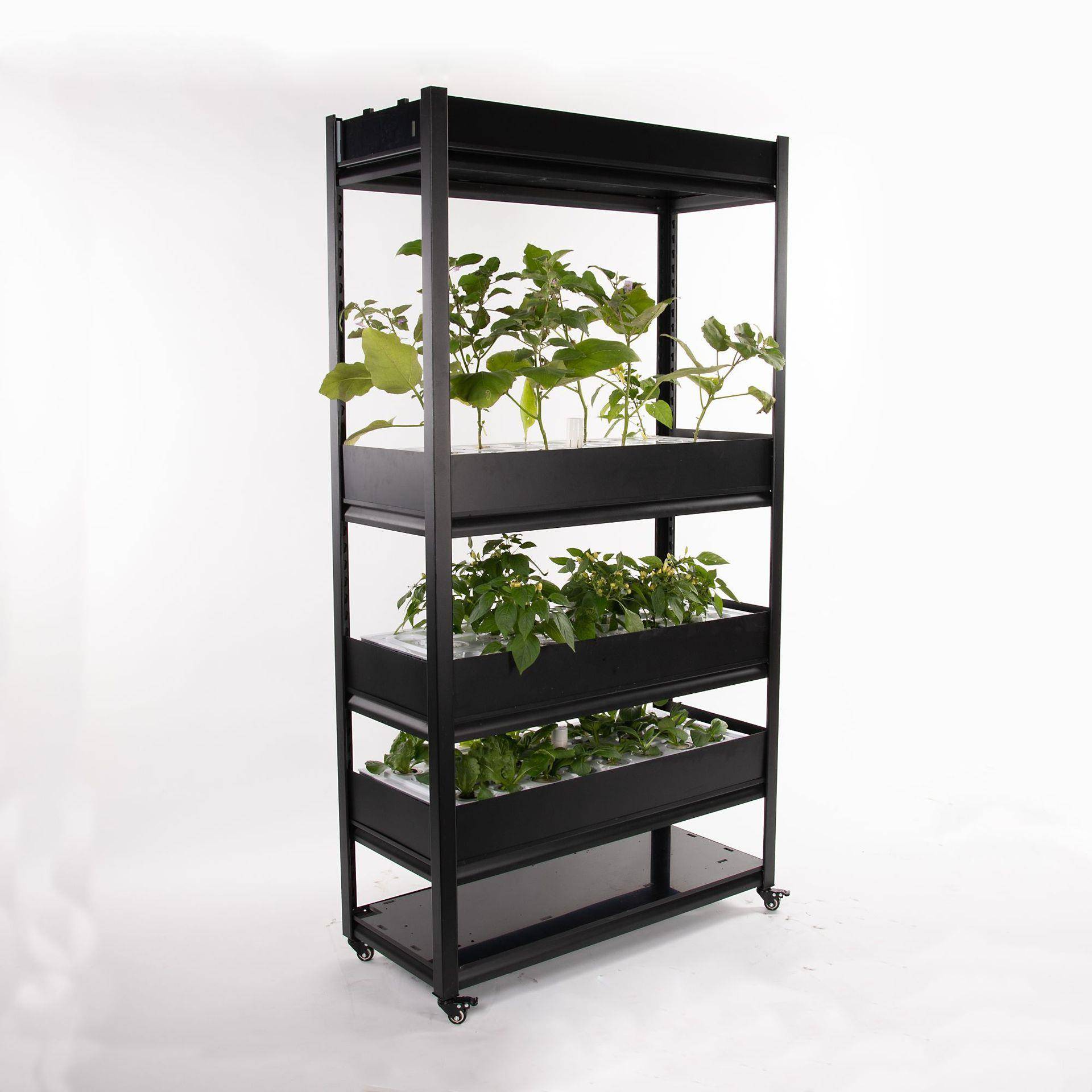 室内水培种菜机无土栽培种植机智能种菜机植物工厂设备包邮