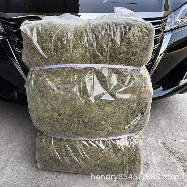 普通7公斤大包装干水草苔藓水苔食虫植物微景观包扎运输生态瓶用