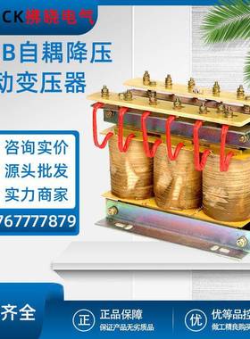 QZB-22KW-350KW三相自耦降压启动变压器全铝全铜绕组整流自藕减压
