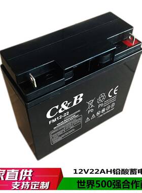 大成DP12V22AH免维护铅酸蓄电池胶体蓄电池