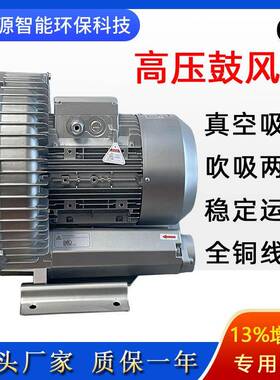 高压旋涡风机RB-21D-2漩涡气泵鼓风机真空泵工业除尘吸尘污水曝气
