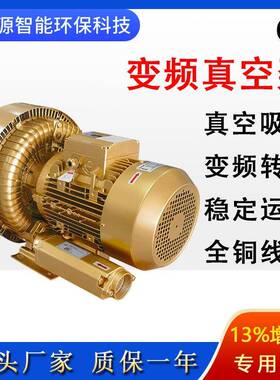 高压风机3RB350-1AAT47旋涡式气泵高负压气环漩涡式鼓风机真空泵