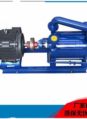 水环真空泵2SK-9型水循环真空泵双极液环式真空泵安渤