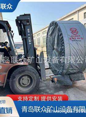 ST1000钢丝绳提升带加密钢丝间距8mm适用建材碳素水泥厂