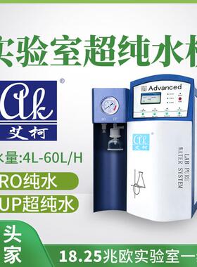 实验室超纯水仪4L-60L/H化验室专用一级水超纯水制取净水设备