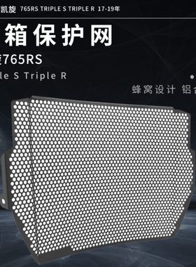适用凯旋765RS Triple S Triple R 改装散热器水箱网保护罩防护网