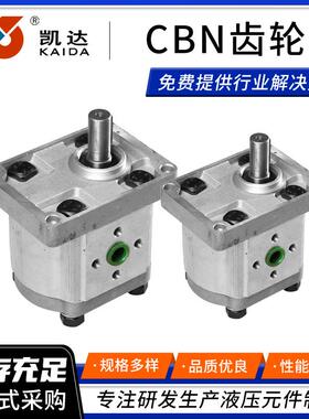 CBN齿轮油泵液压齿轮泵E304E306E310E314E316E320E325高压油泵
