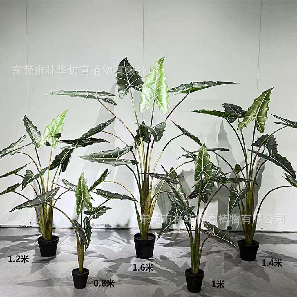 仿真萨利安海芋彩芋芋叶盆景热带植物仿真海芋室内装饰绿植盆栽