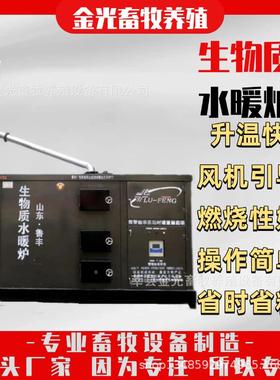 山东鲁丰20w大卡全智能生物质水暖炉大棚花卉取暖炉恒温运行可靠