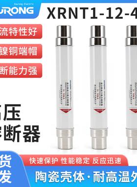 XRNT10-12KV高压限流熔断器箱变保险管丝10A20A40A50A63安80A100A