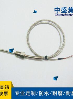 中盛端面铂电阻端面热电阻PT100WZPM2φ4*10*5000