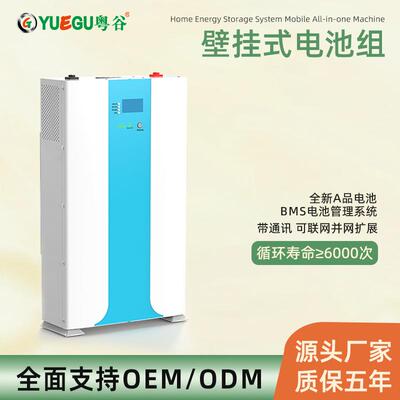 应急供电储能电池组10度51.2V200AHA品铁锂电芯家庭壁挂式电池组