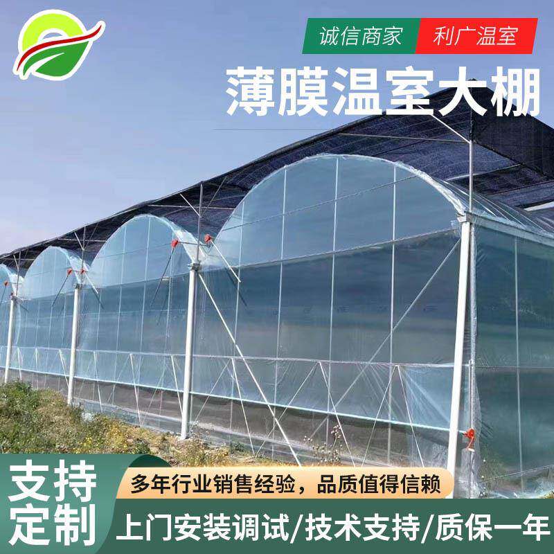 温室移动苗床温室育苗设备移动式温室大棚蔬菜种植钢架大棚