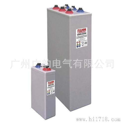 原厂FIAMM非凡蓄电池2SLA200/GOPZV胶体免维护2V200AH阻燃实用