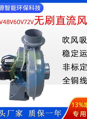 直流无刷鼓风机直叶式PF125-21.5kw有刷无刷直流电机透浦式风机