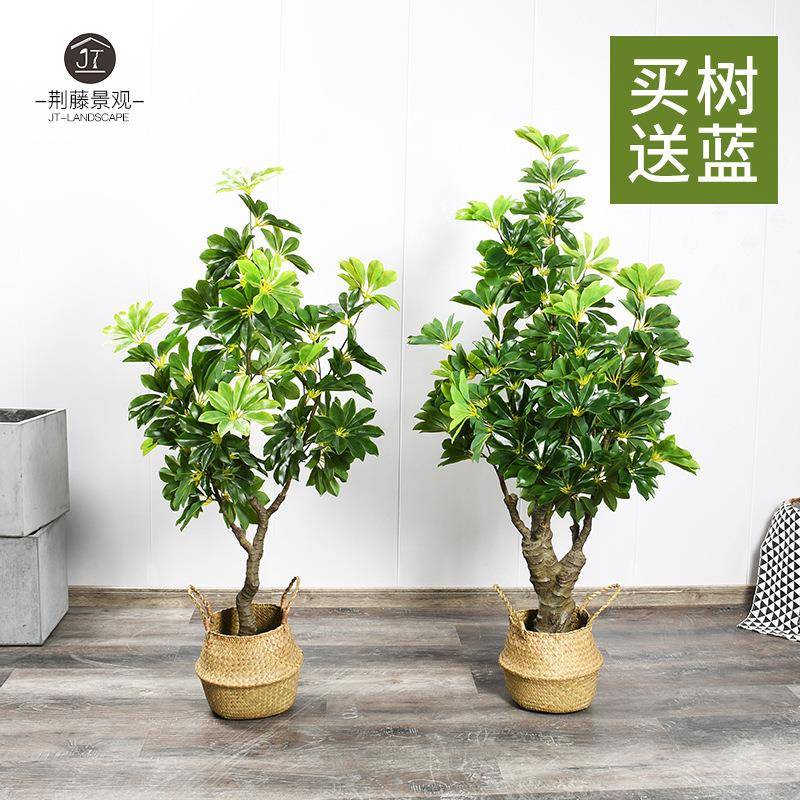 仿真招财树大型室内绿植鸭脚木落地盆栽书房客厅商场橱窗装饰摆件