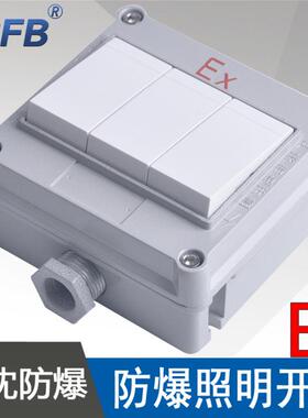 SWB-10A/IIIS防爆照明开关三开单控双控防爆墙壁开关ExdeIIBT6