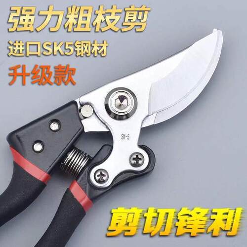 SK5园艺修枝剪新款园林家用省力款花枝园艺剪电商工厂