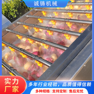 果蔬平行毛辊清洗机 喷淋清洗地瓜流水线马铃薯毛刷清洗机设备
