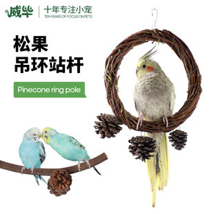 鹦鹉鸟笼玩具玄凤牡丹秋千吊环用品大全虎皮站架树枝站杆装饰摆件
