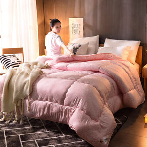 尚炫月春秋被子学生秋冬宿舍加厚双人冬季被褥单人被芯8斤 6斤