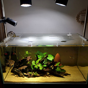 鱼缸盖板盖子上盖顶盖防跳网定做水族箱定制亚克力鱼缸顶部防猫盖