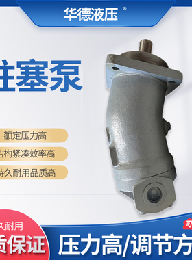 斜轴式柱塞马达A2F10 55.80.160W2P1定量液压油泵柱塞泵