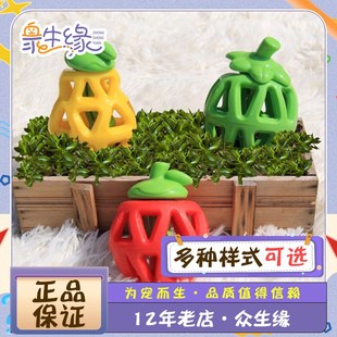 FOFOS两只福狸狗咪玩具水果狗狗玩具磨牙发生耐咬洁齿宠物