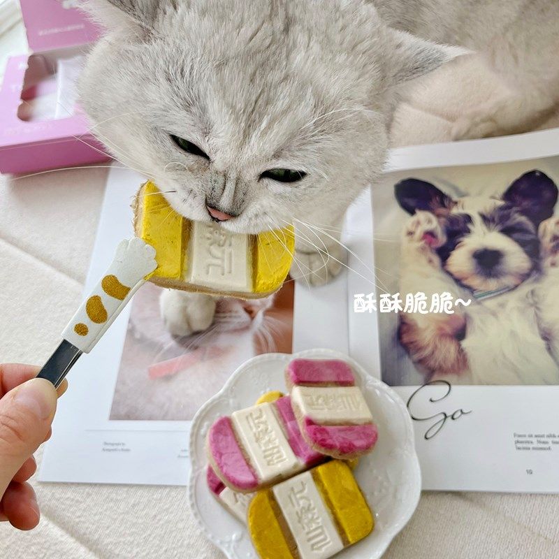 仙森元汉堡吐司鲜肉冻干磨牙洁齿冻干猫狗零食南瓜火龙果鸡肉鸭肉,宠物/宠物食品及用品,猫冻干零食,淘宝优惠券,粉丝福利购,淘宝优惠卷