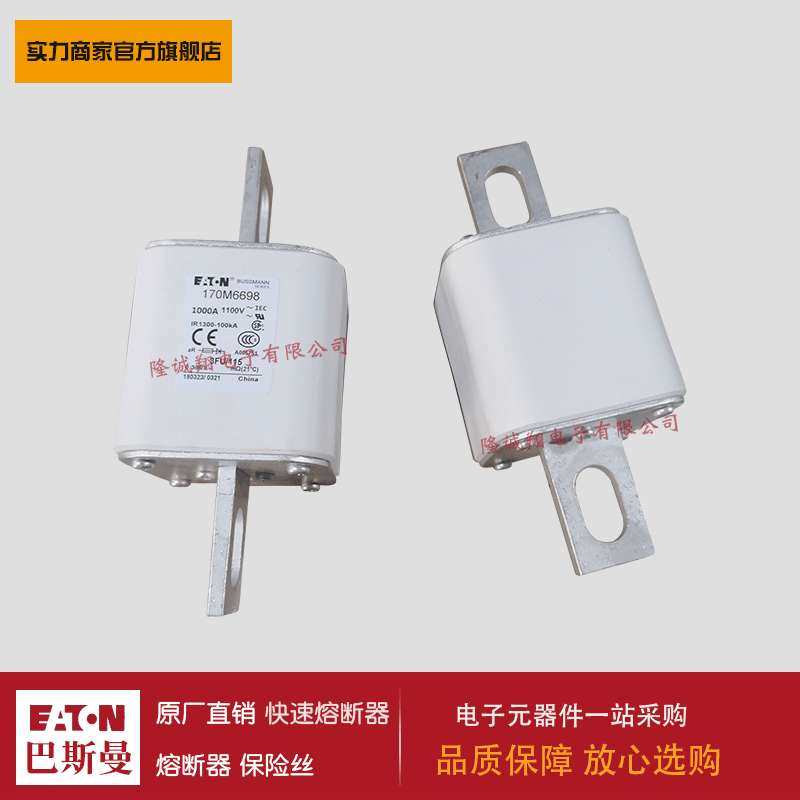 熔断器170M6697 170M6698 170M6699 170M6700 170M6701 170M3738