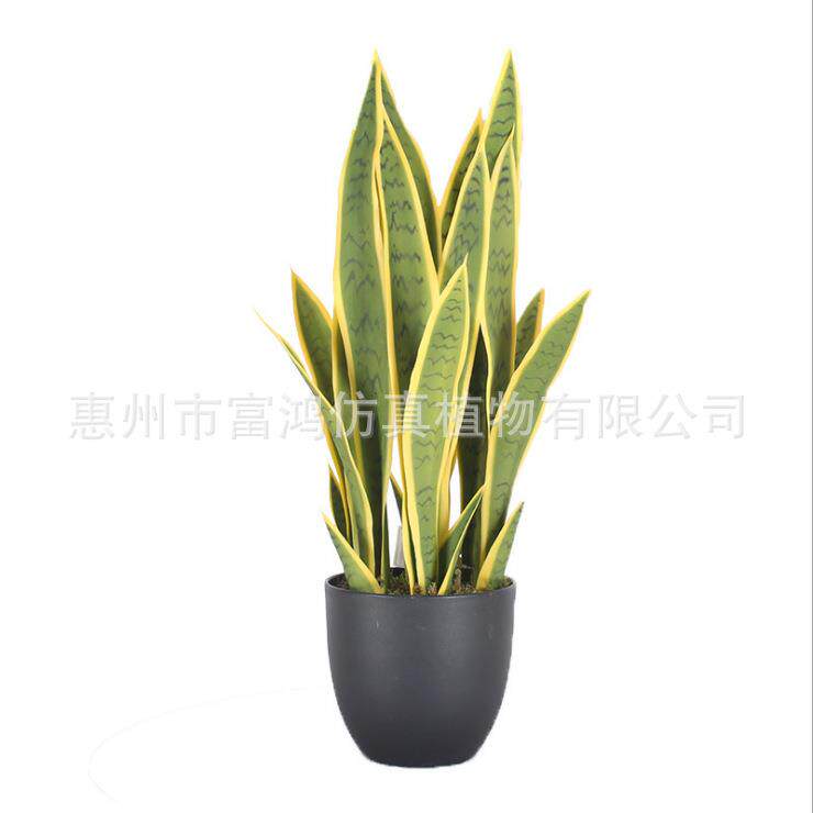 仿真植物虎皮兰落地植物家居装饰橱窗摆件落地盆栽