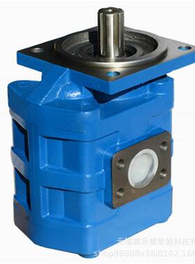 CB-KPL100-B1F2H1,CB-KPL100-B1F2H2价格装载机油泵起重机油泵