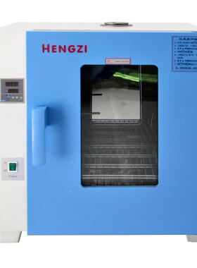 新诺仪器HGZF-II-101-3电热鼓风干燥箱恒温不锈钢烘箱烘培融蜡