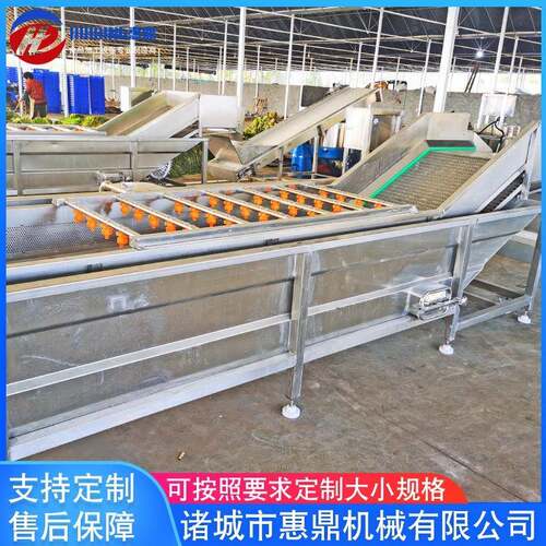小龙虾蔬菜气泡清洗机全自动辣椒清洗机白果果蔬清洗机设备