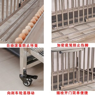 滚蛋鸡笼家用养殖母鸡笼特大号鸡舍阳台养鸡圈户外多层不锈钢笼子