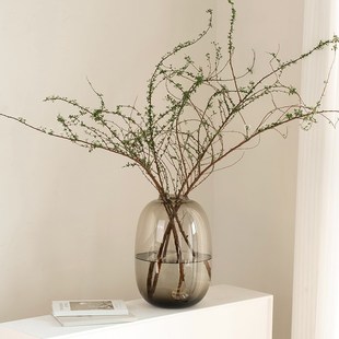 花瓶轻奢高级感大肚玻璃透明客厅雪柳干枝水养插花瓶餐桌装饰摆件