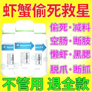 龙虾肠龙虾五月温炎偷死灵空肠空胃白便南美对虾小龙虾弧菌抗应激
