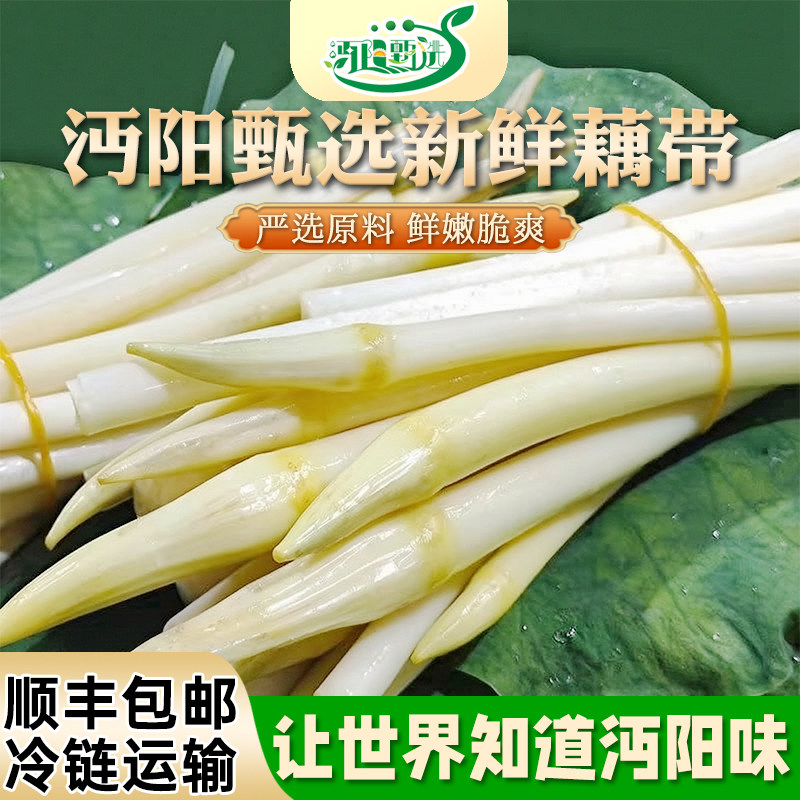 顺丰包邮湖北正宗新鲜藕带洪湖特产现挖藕肠藕簪当季时令蔬菜藕尖