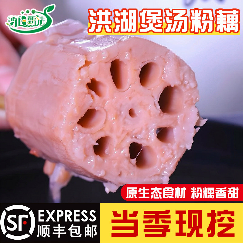 正宗洪湖莲藕新鲜现挖煲汤粉糯炖莲藕