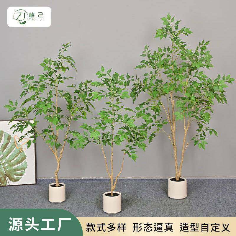 仿真绿植幸福树室内家居大型落地盆栽树装饰花艺摆件植物幸福树,电子元器件市场,其它元器件,淘宝优惠券,粉丝福利购,淘宝优惠卷