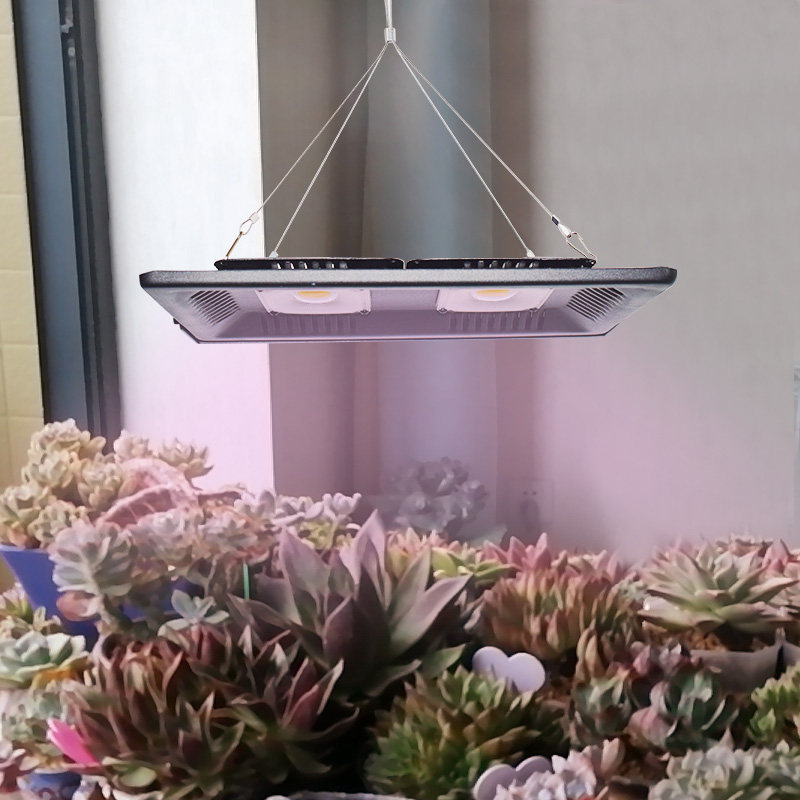 月季草莓花卉补光灯LED仿太阳大棚蔬菜水草多肉全光谱植物生长灯