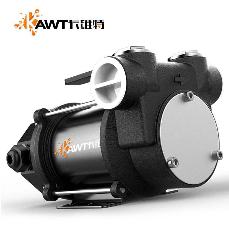 抽油泵电动12v24v220v柴油大功率抽油机小型自吸泵大加油机流量