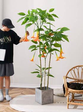 北型绿F7688S55植盆仿生植物曼大陀罗室欧内客厅装饰假花落地栽摆