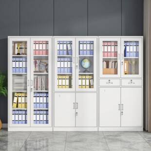 文件柜公室资料纳柜加厚厂档案柜DXS-wjg带锁财办务凭证柜储物柜