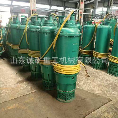 矿用BQS100-15-11矿用隔爆型潜水排沙电泵   矿用防爆潜污水泵