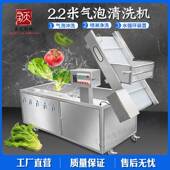 多水功能清洗机气泡冲浪喷自动LUA提果升淋洗菜机蔬菜全自动